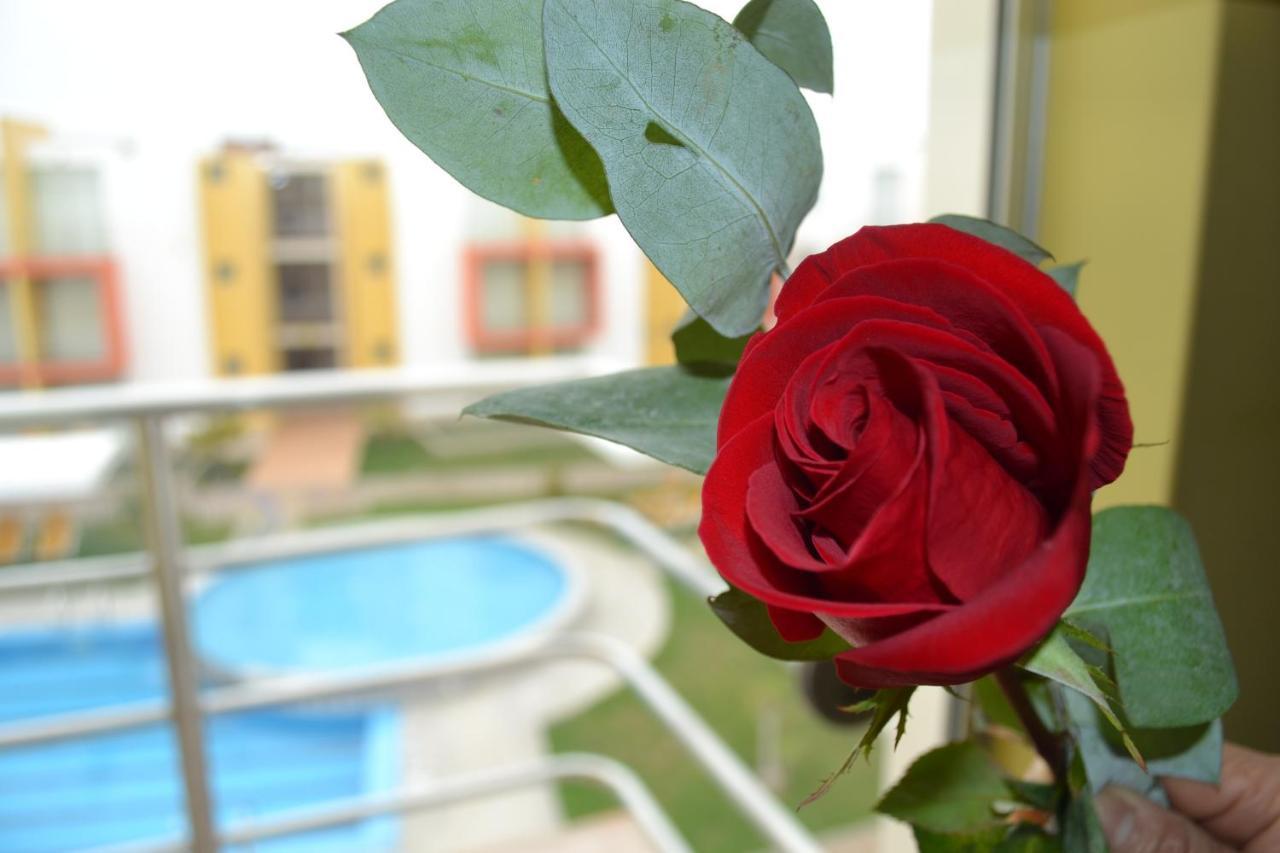 Kajaca Suite Hotel Tomicaya Εξωτερικό φωτογραφία